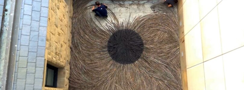 Andy Goldsworth’s BURNT PATCH time-lapse installation at the San Jose Museum of Art