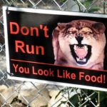 Effective and Funny Zoo Signage, Send Me Yours