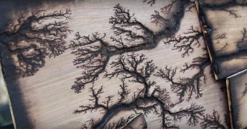 Embellishing with Lichtenberg Wood Burning for Natural Plant-like Formations