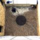 Andy Goldsworth’s BURNT PATCH time-lapse installation at the San Jose Museum of Art