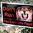 Effective and Funny Zoo Signage, Send Me Yours