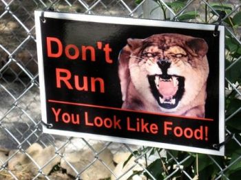 Effective and Funny Zoo Signage, Send Us Yours