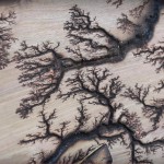 Embellishing with Lichtenberg Wood Burning for Natural Plant-like Formations
